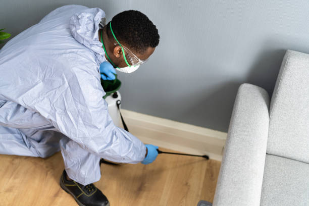 Best Termite Inspection and Treatment  in West Park, NJ